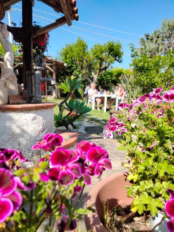 B&B Valeri Tropea Dış mekan fotoğraf